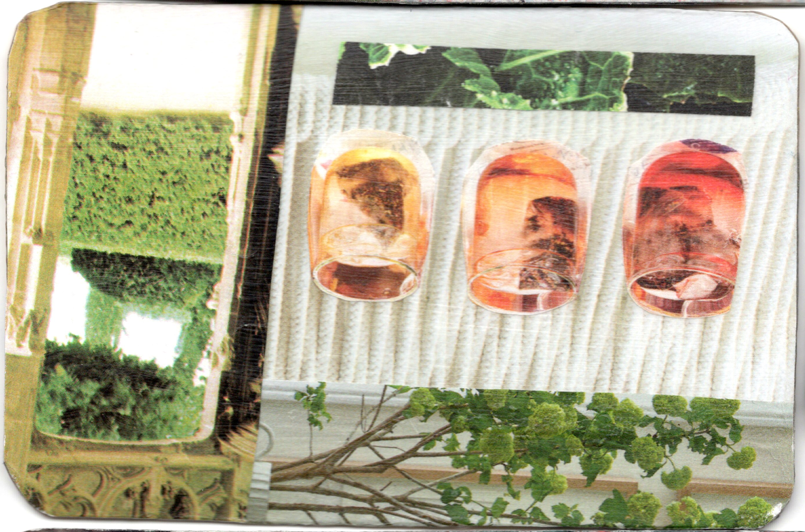 Compost Theory of Life